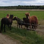 Lomakivi Dom wakacyjny