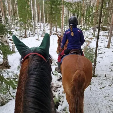 Ferienhaus Lomakivi *