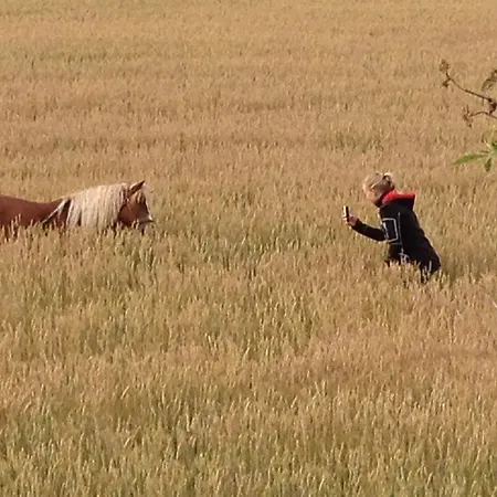 Ferienhaus Lomakivi *