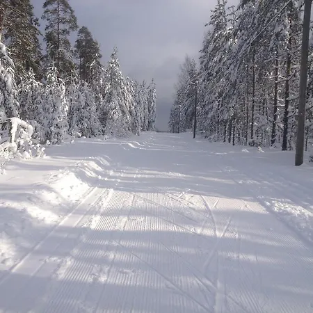 Vakantiehuis Lomakivi Kausala