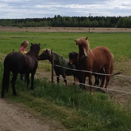 Lomakivi بيت للعطل
