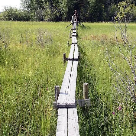 بيت للعطل Lomakivi Kausala