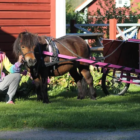 Lomakivi بيت للعطل